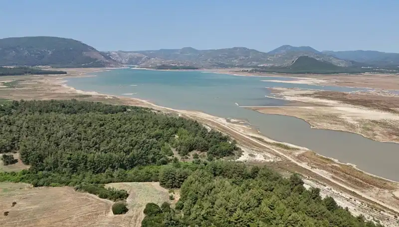 İzmir’de Tehlike Çanları: Geçen Yıldan %50 Düşüşle Karşı Karşıya