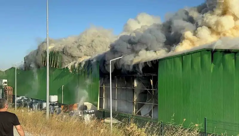 Balıkesir'deki Fabrika Yangınında Olayların Ardında Yatan Gerçekler