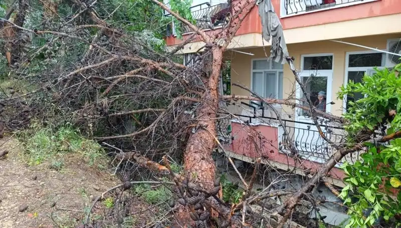 Yağmur Sonrası Kontrolsüz Çökmeler: Bina Çöktü, Nedenleri Araştırılıyor