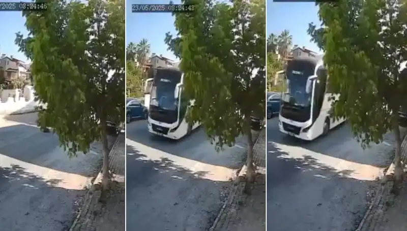 Yolda Yatan Köpeği Ezip Giden Sürücünün İfadesi Bunu Söyledi!