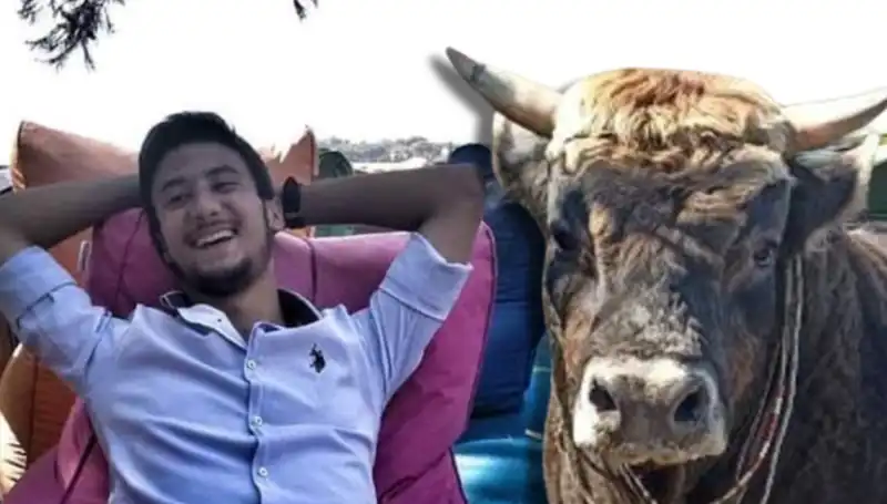 Aydın'da Güreş Boğası Saldırısında Yaşanan Korkunç Olay!
