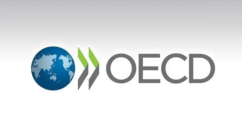 OECD, Türkiye'nin Ekonomik Büyüme Tahminini Yeniden Belirledi: Ne Anlama Geliyor?
