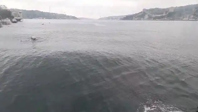 İstanbul Boğazı'nda Dalgaların Yükselmesi: Neler Oluyor?
