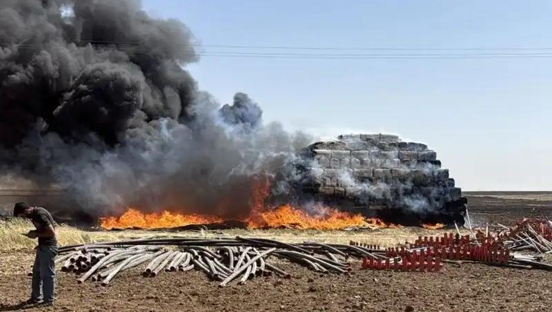 Mardin'de Ani Ortaya Çıkan Anız Yangını Büyük Korku Yarattı