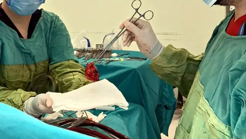 Kalp Kapağı Ameliyatı: 7 Saatlik Mücadele ve Mucizevi Sonuçlar