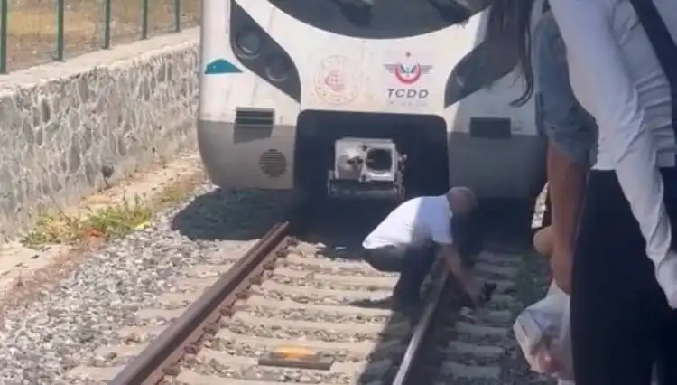 Raylardaki Kediyi Fark Eden Makinist, Marmaray’ı Durdurarak Hayvanı Kurtardı