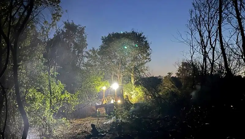 Edirne'deki Orman Yangını Sonunda Kontrol Altına Alındı!