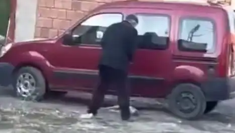 Sokak Ortasında Köpeğe Uygulanan Şiddet: Hayvan Hakları Savunucuları Harekete Geçti