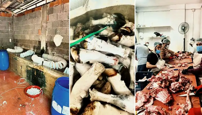 Adana'da Skandal: Yüzlerce Kilo Paçayla İlgili Şok Edici Görüntüler