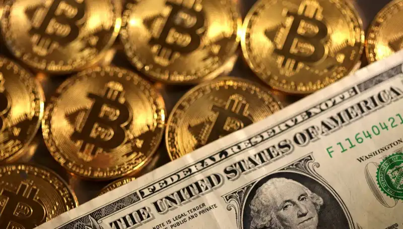 Kripto Fonlarının Piyasa Çöküşünde Kaybı 4,75 Milyar Doları Aştı!
