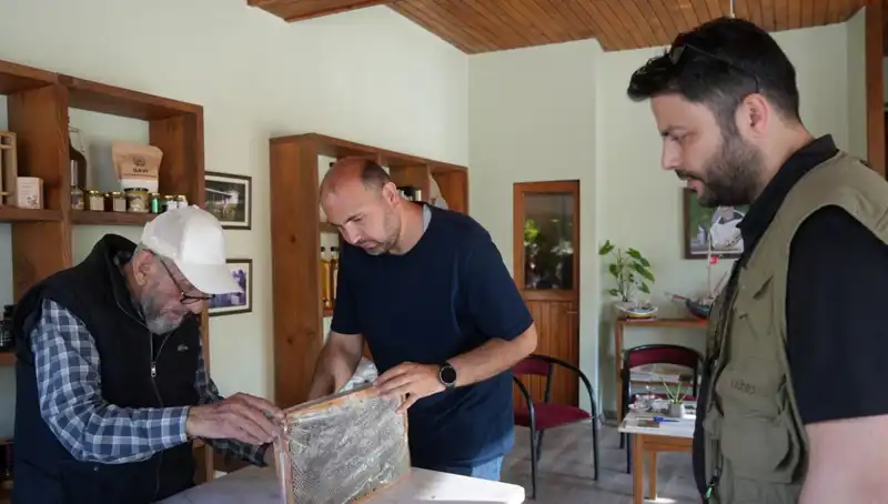 Hem Şifa Hem Zehir: Doktorların Uyardığı Gizemli Bitki