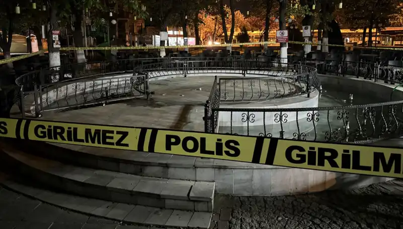 Kırklareli'nde Süs Havuzu Felaketi: Dört Kişi Hastanelik Oldu!
