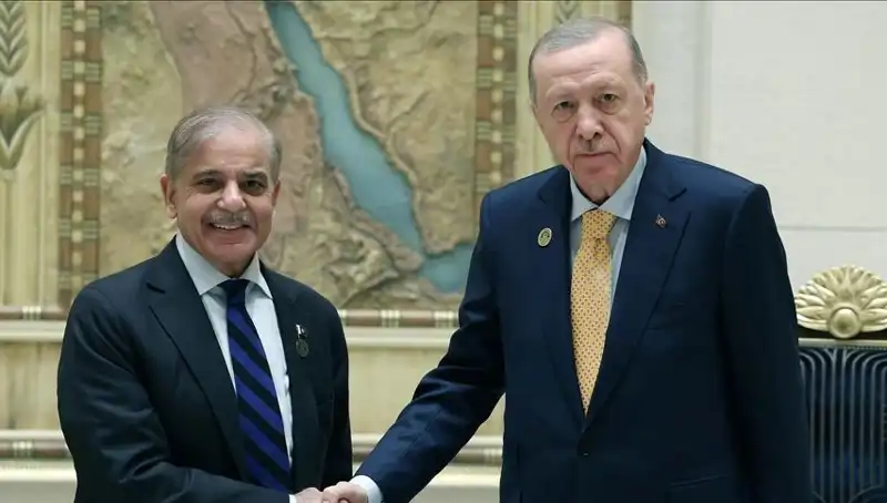 İstanbul’da kritik zirve: Cumhurbaşkanı Erdoğan, Pakistan Başbakanı Şerif'le buluşuyor