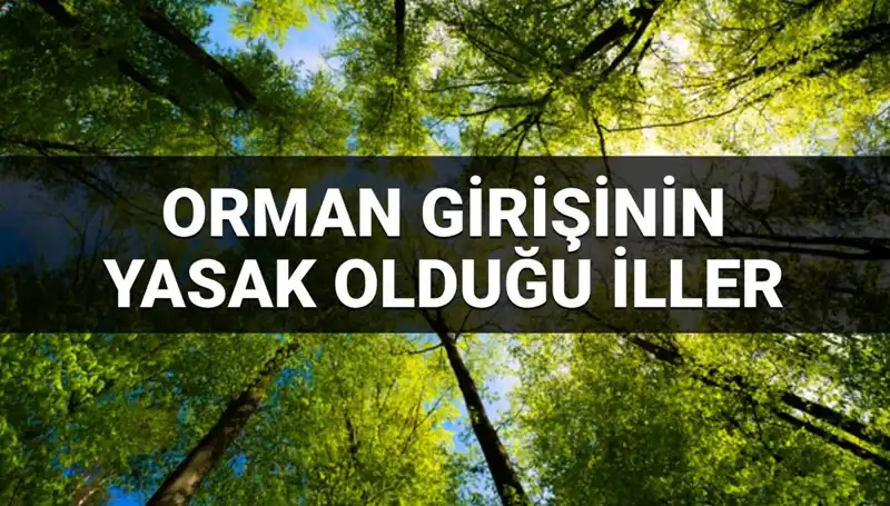 Türkiye’de Ormana Girmek Yasak Olan Şehirler: 2025 Listesi
